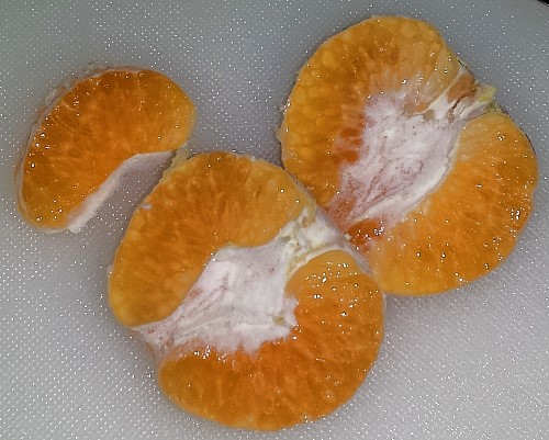 citrusm6